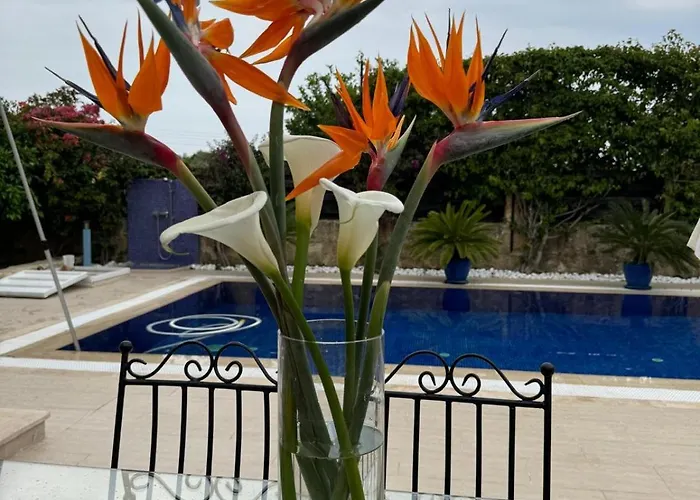 Villa Casa Santos Kyrenia *