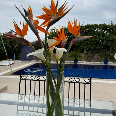 别墅 Casa Santos Kyrenia *